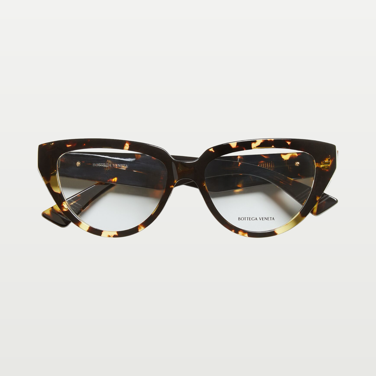 Bottega Veneta Classic Cat Eye Eyeglasses in Havana/transparent