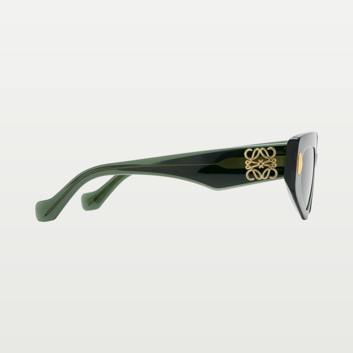 LOEWE Small Butterfly Screen sunglasses in Transparent Dark Green