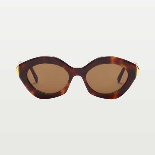 LOEWE Coil Cateye sunglasses in Havana