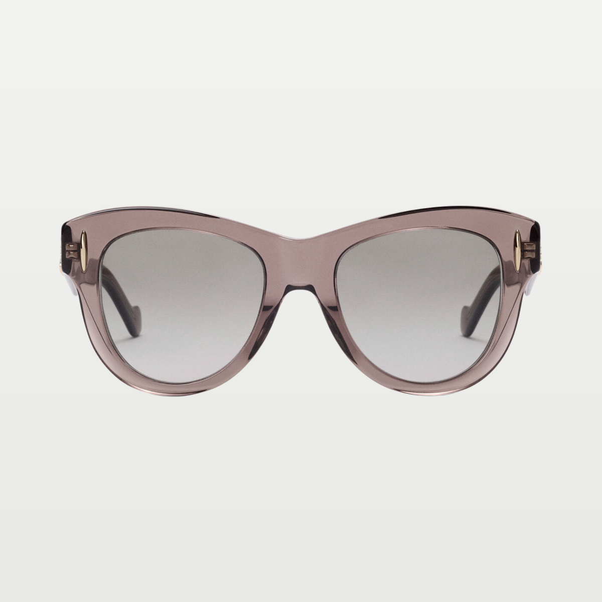 LOEWE Vintage Screen sunglasses in Transparent Brown