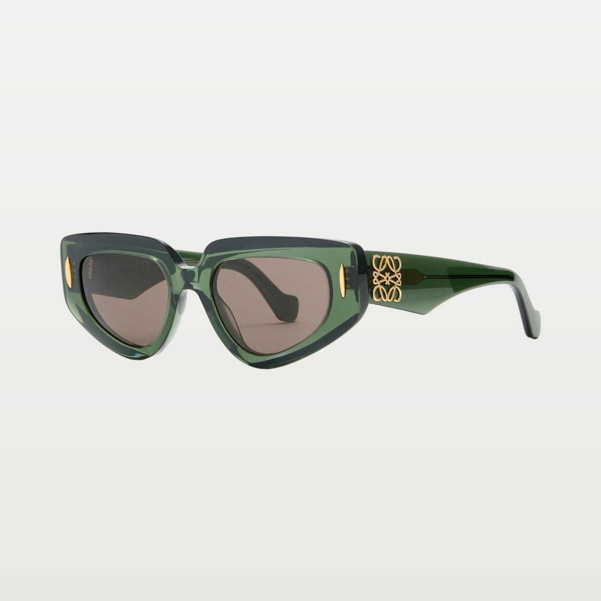 LOEWE Small Butterfly Screen sunglasses in Transparent Dark Green