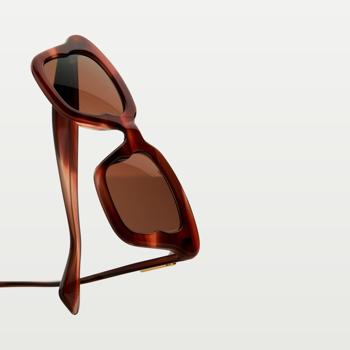 Bottega Veneta Sophia Ribbon Butterfly Sunglasses in Havana/brown