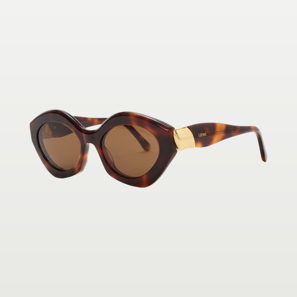 LOEWE Coil Cateye sunglasses in Havana