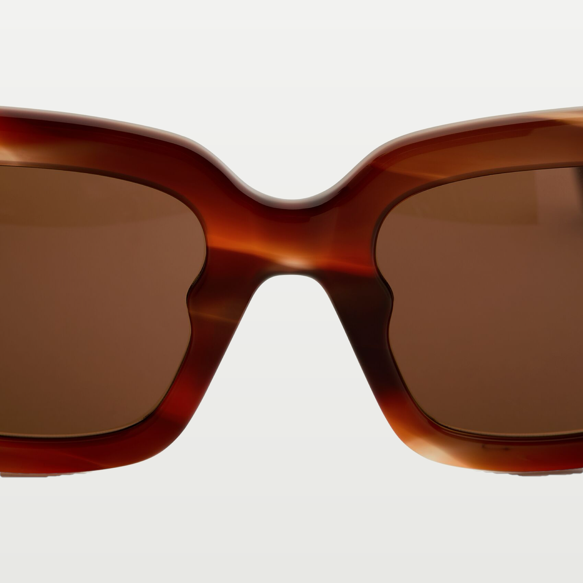 Bottega Veneta Sophia Ribbon Butterfly Sunglasses in Havana/brown