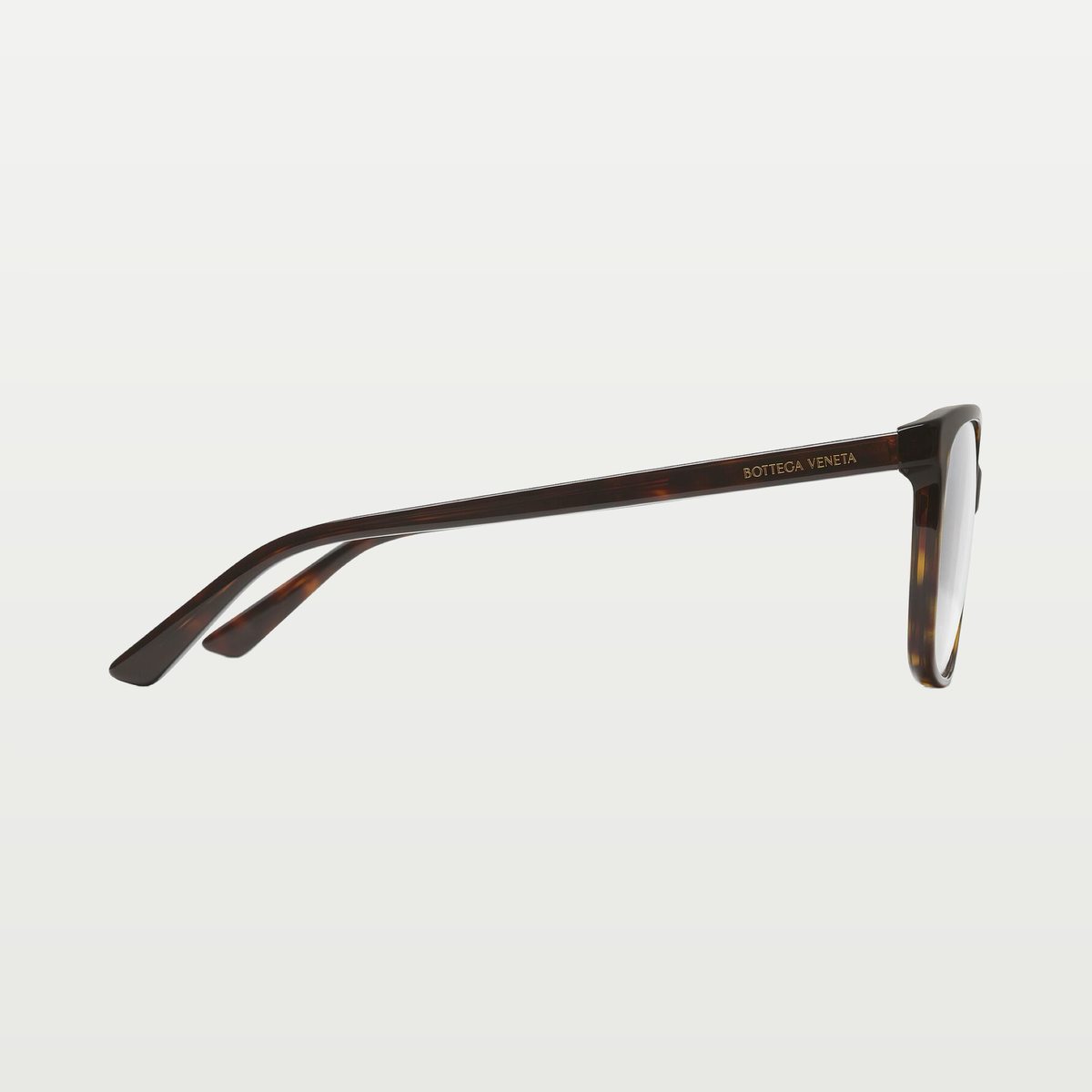 Bottega Veneta Classic Square Eyeglasses in Havana/transparent