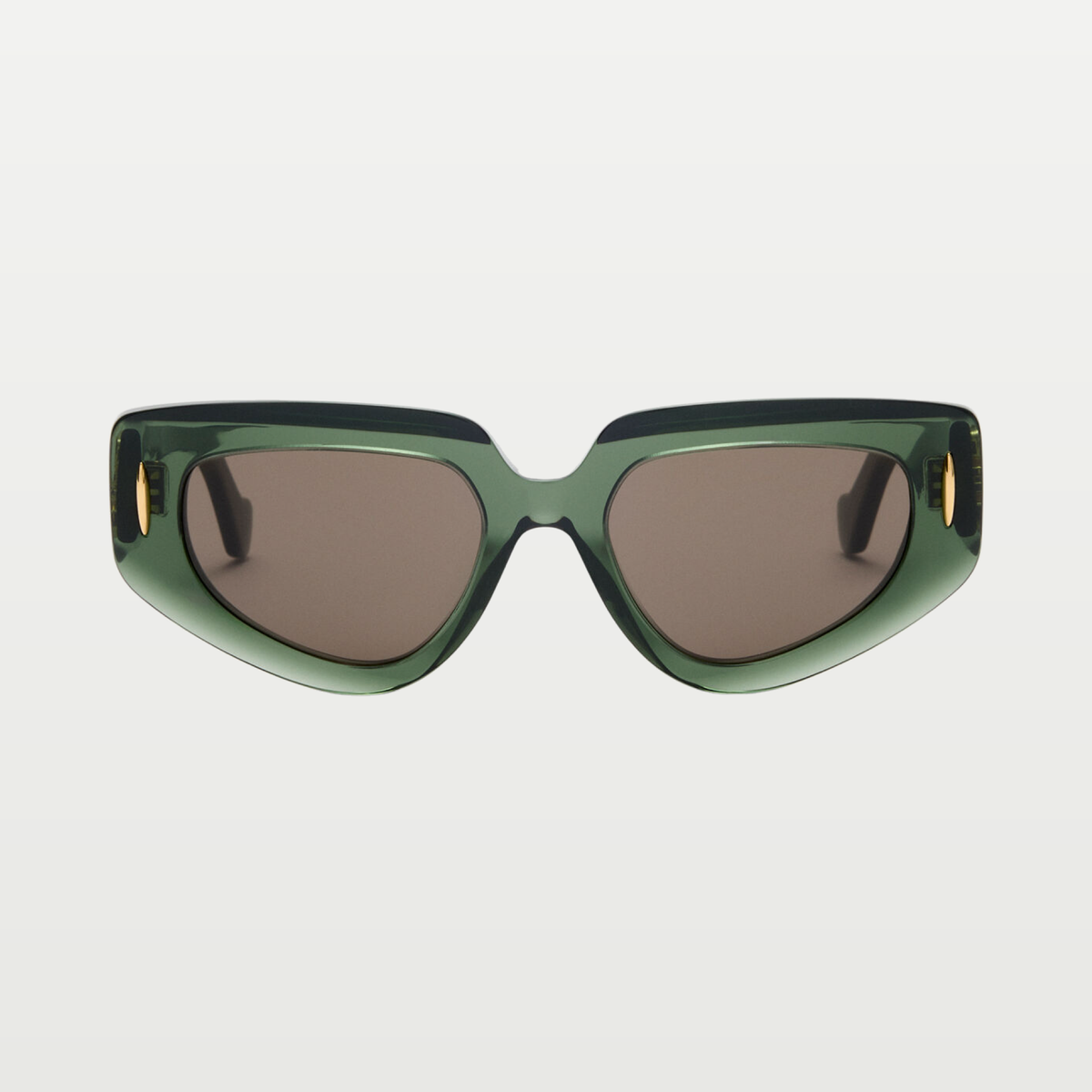 LOEWE Small Butterfly Screen sunglasses in Transparent Dark Green