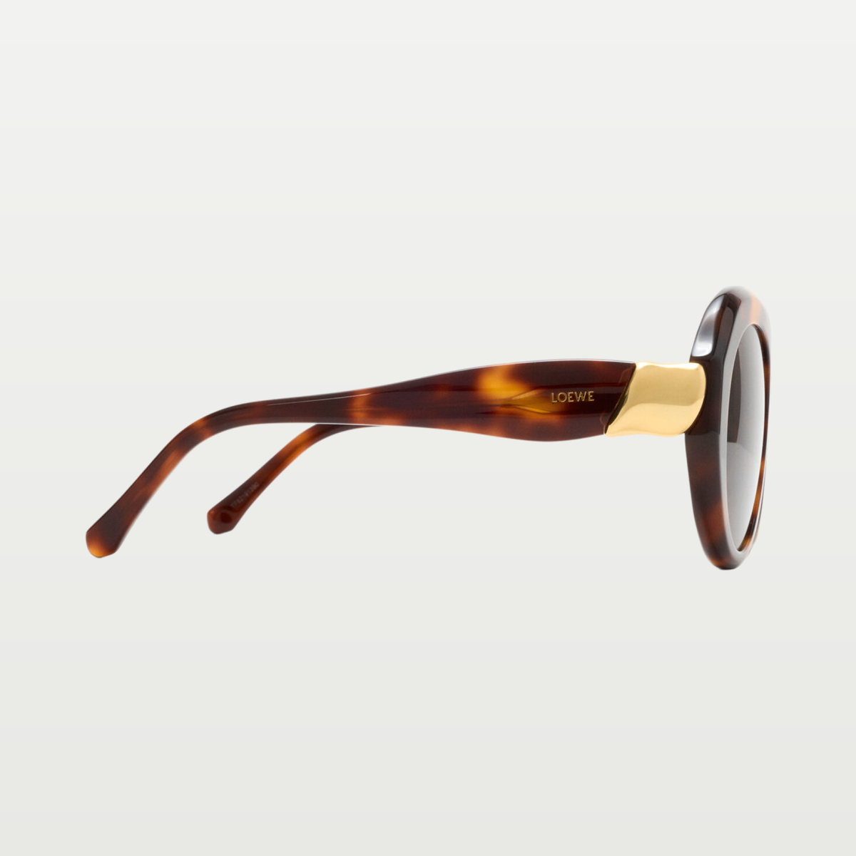 LOEWE Coil Butterfly sunglasses in Havana