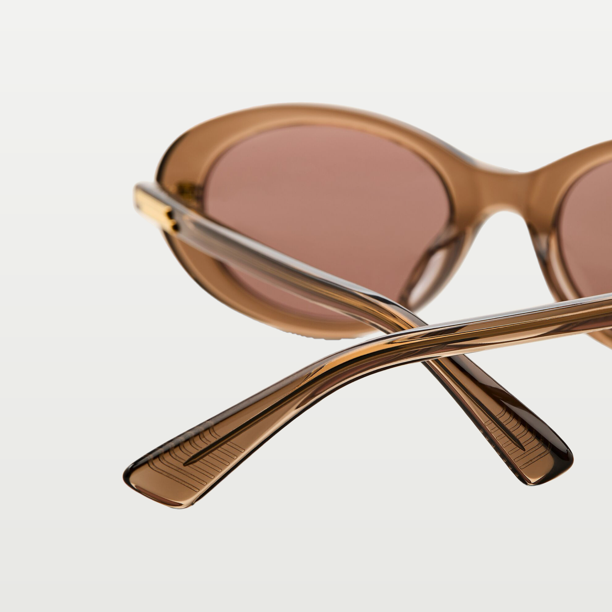 Bottega Veneta Classic Oval Sunglasses in Brown/brown