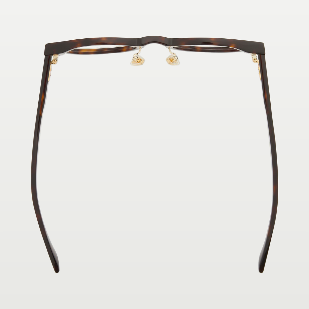 Bottega Veneta Dizzy Round Eyeglasses in Havana/transparent