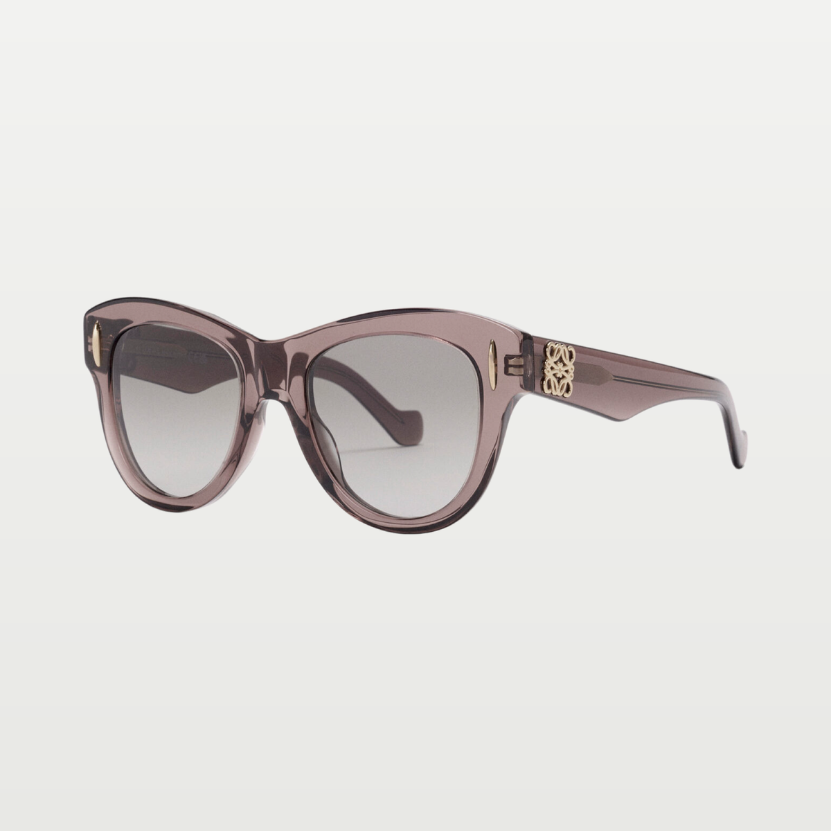 LOEWE Vintage Screen sunglasses in Transparent Brown