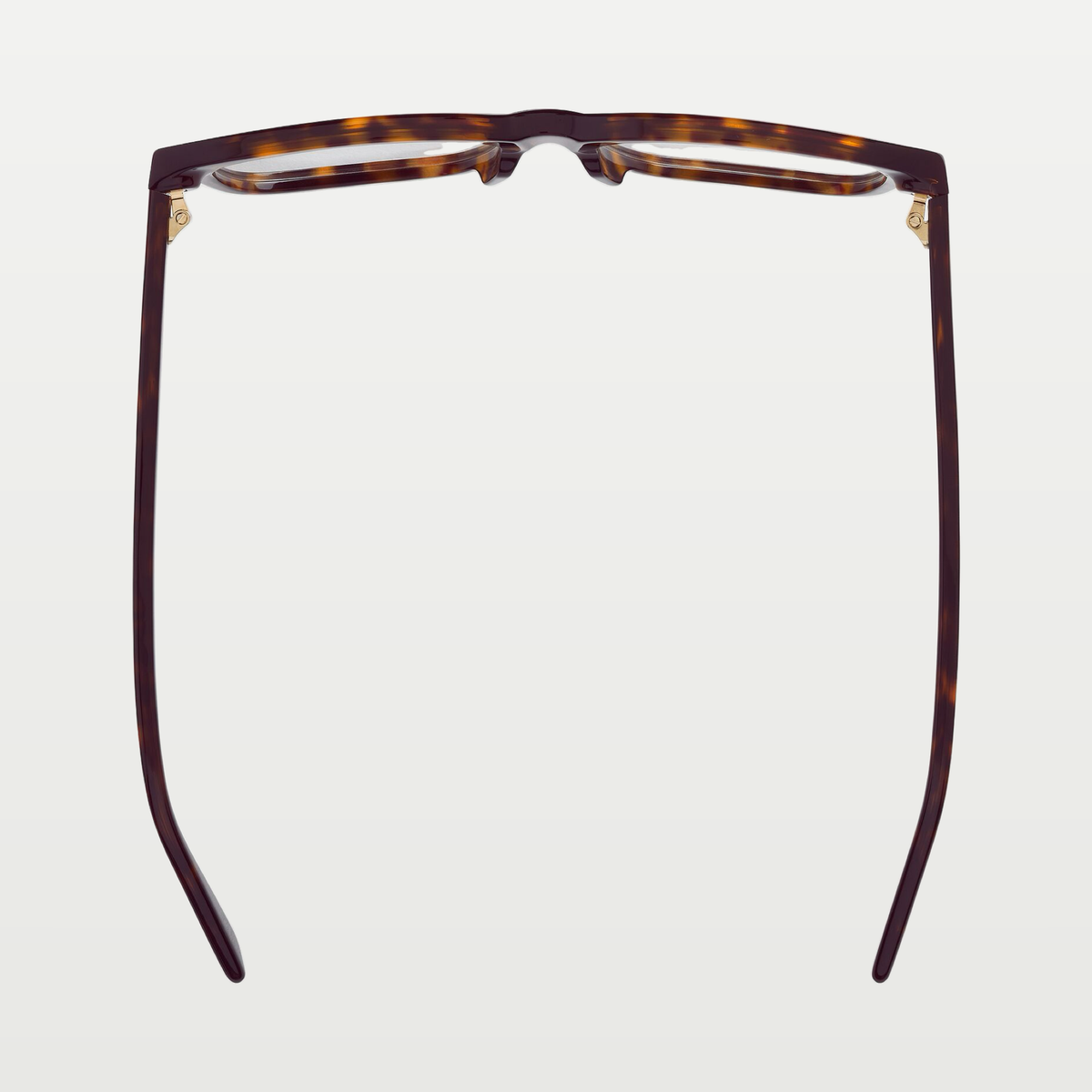 Bottega Veneta Classic Square Eyeglasses in Havana/transparent