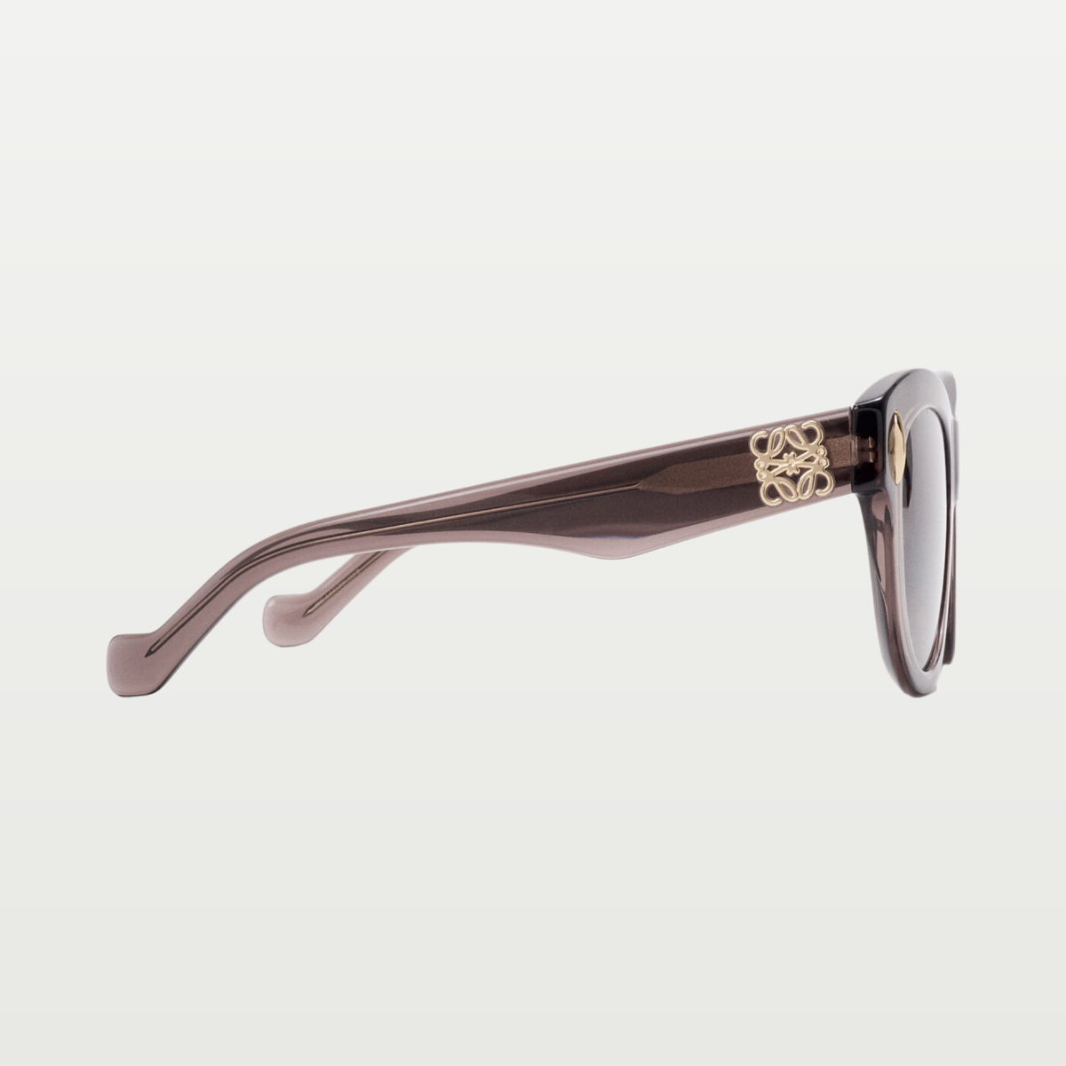 LOEWE Vintage Screen sunglasses in Transparent Brown