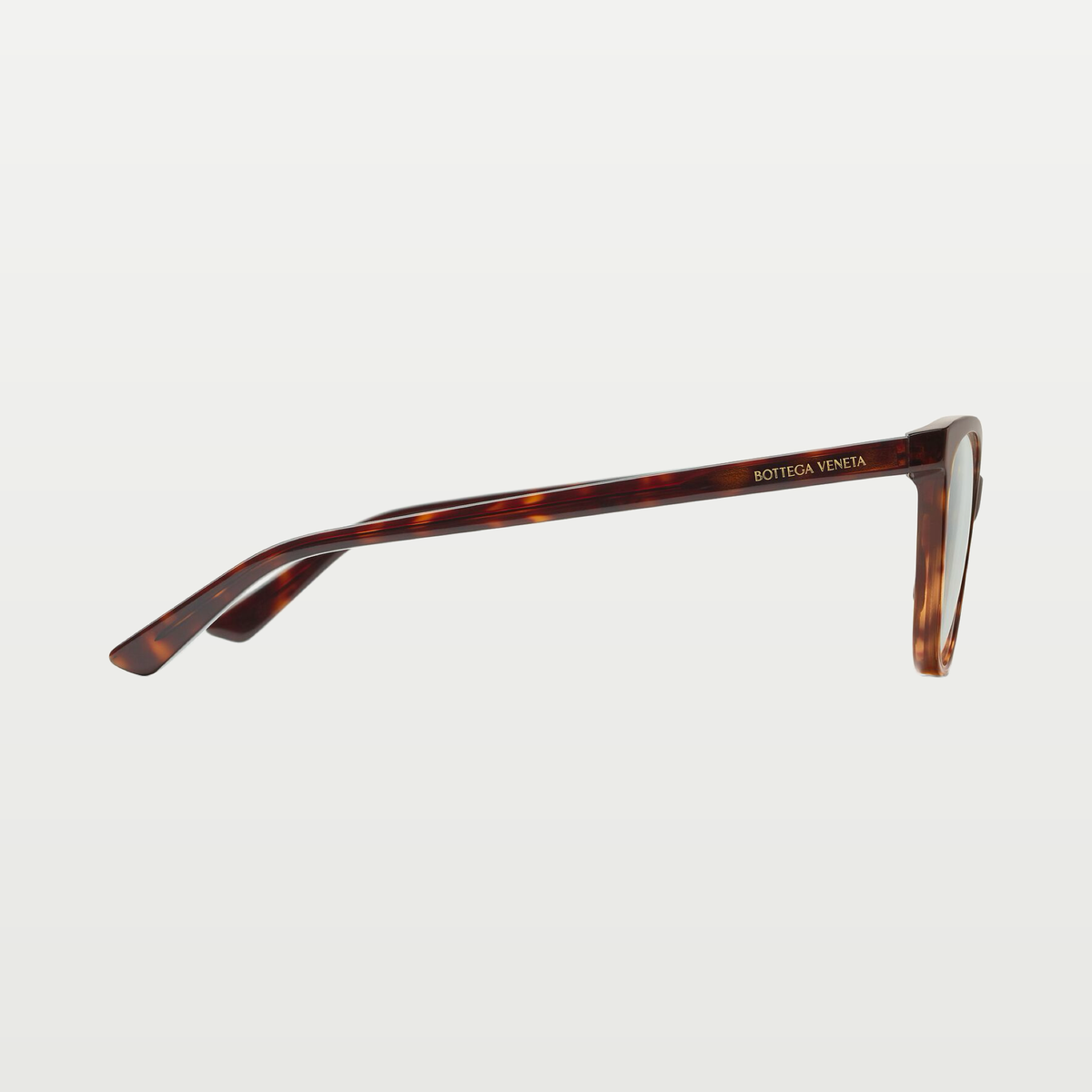 Bottega Veneta Classic Cat Eye Eyeglasses in Havana/transparent