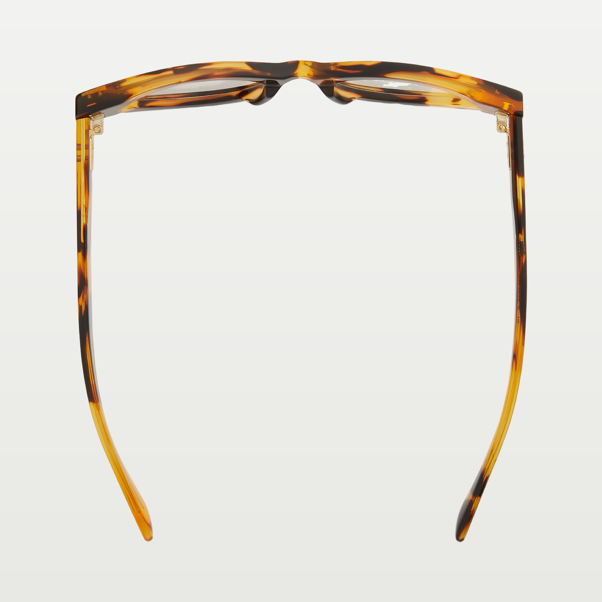 Bottega Veneta Women's Dizzy Cat Eye Eyeglasses in Havana/transparent