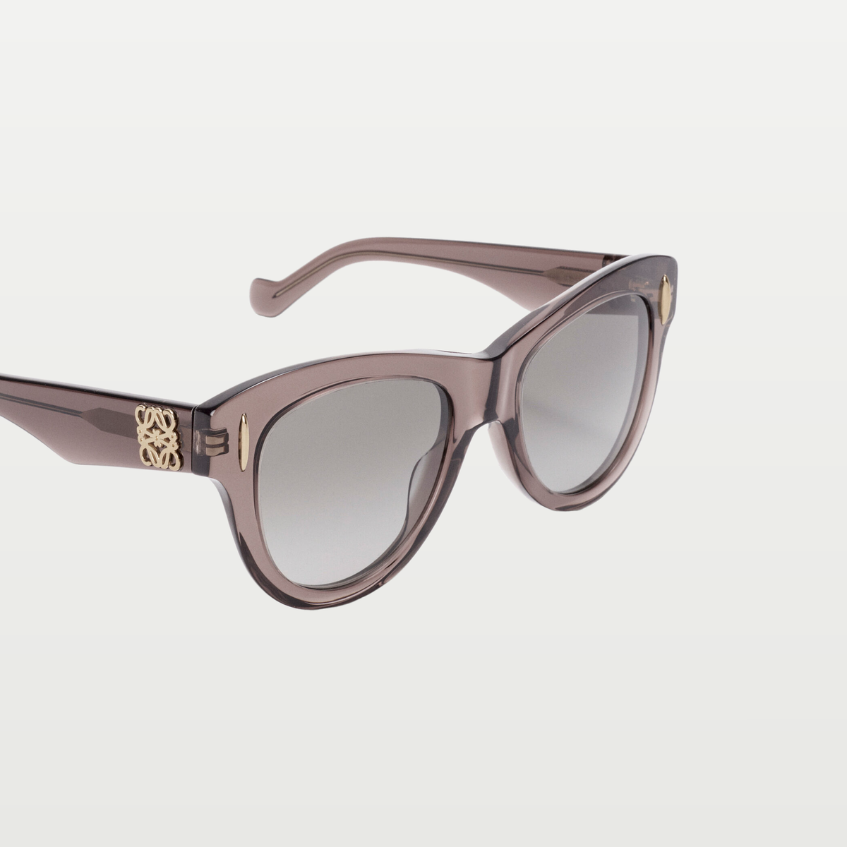LOEWE Vintage Screen sunglasses in Transparent Brown