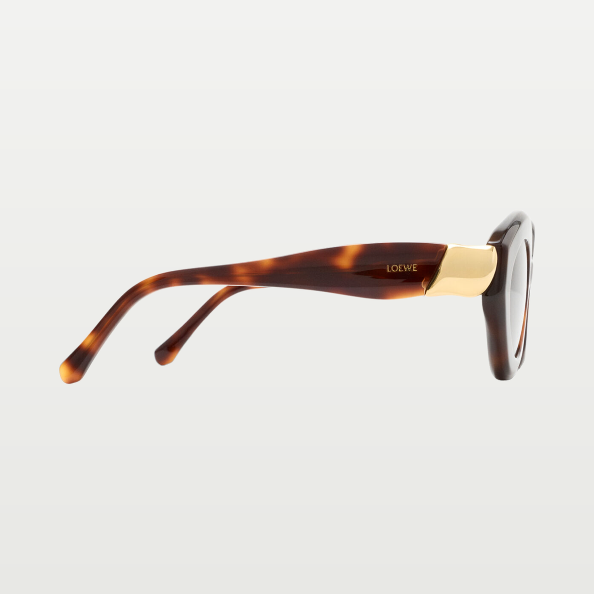 LOEWE Coil Cateye sunglasses in Havana