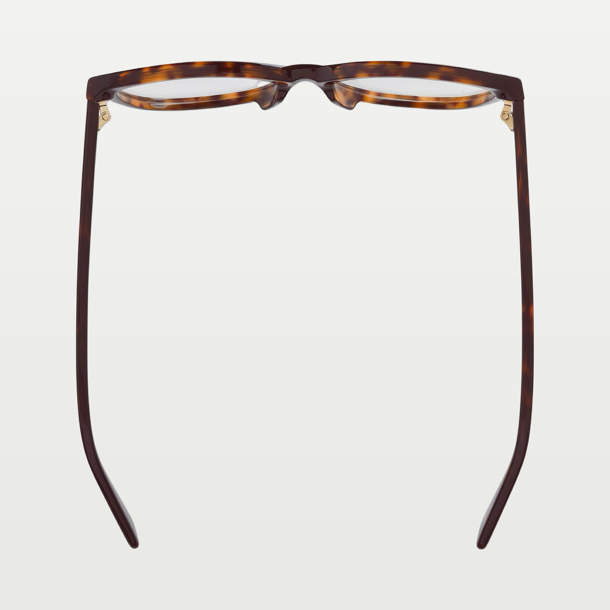 Bottega Veneta Classic Cat Eye Eyeglasses in Havana/transparent