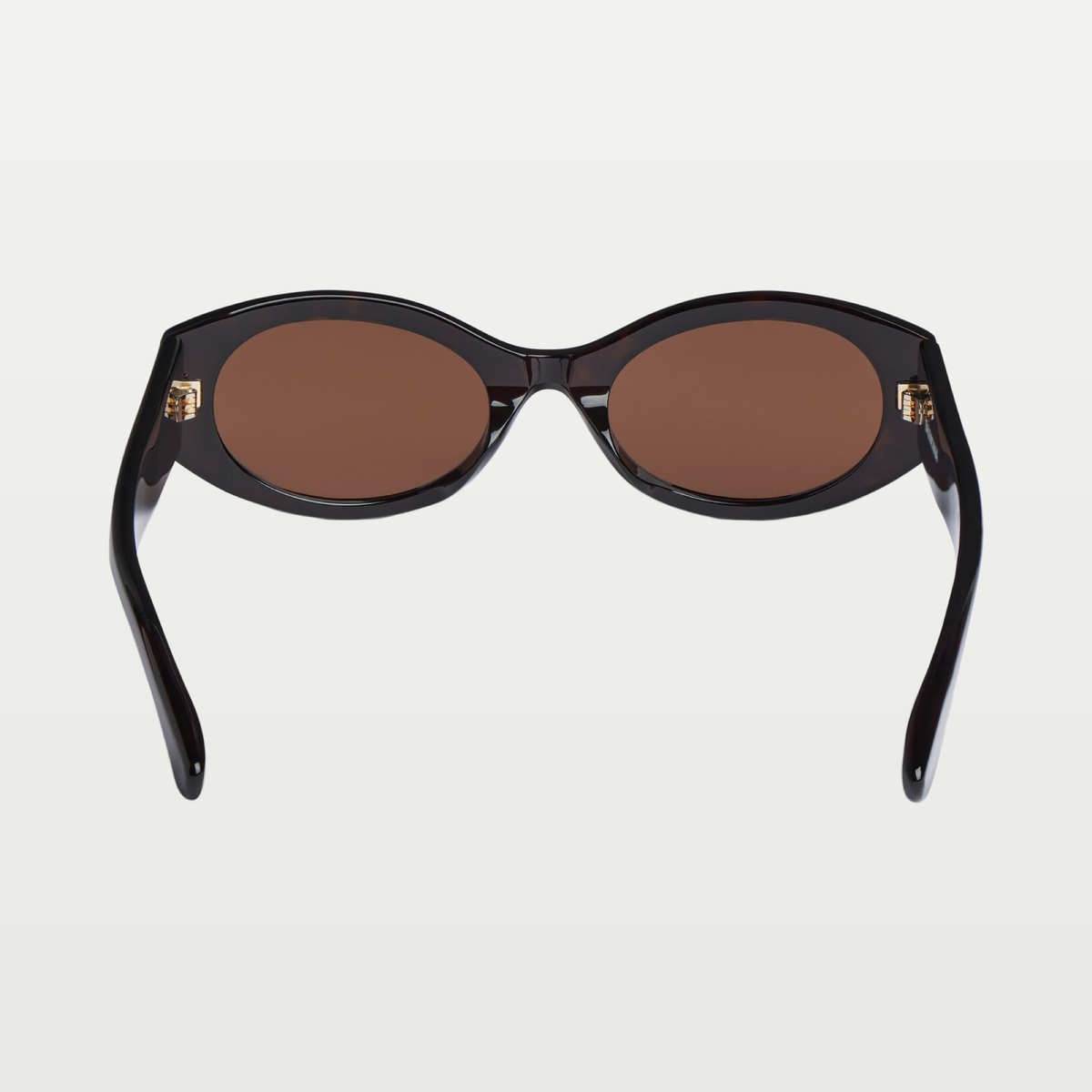 Balenciaga Women's Nano Round Af Sunglasses in Dark Havana