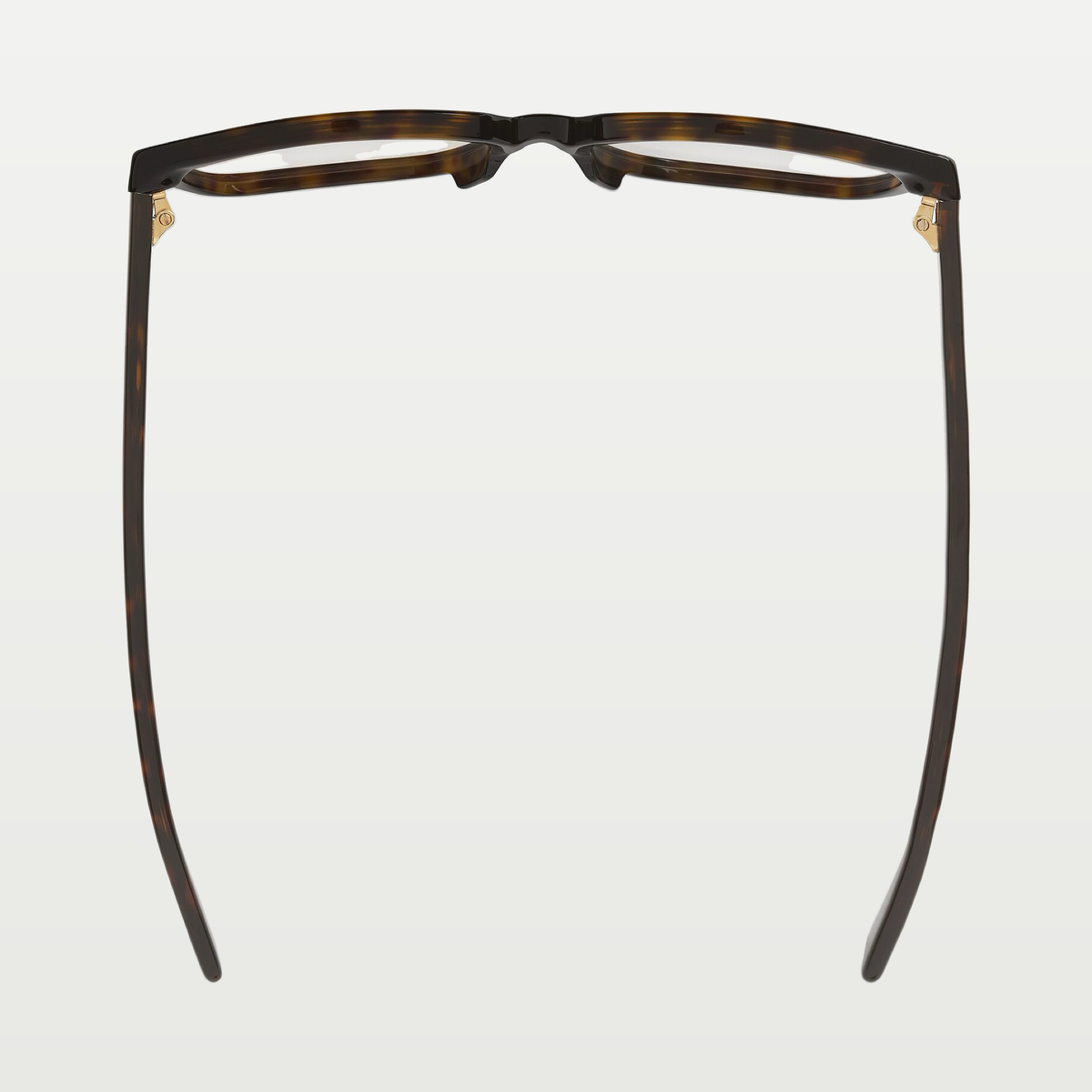 Bottega Veneta Classic Square Eyeglasses in Havana/transparent