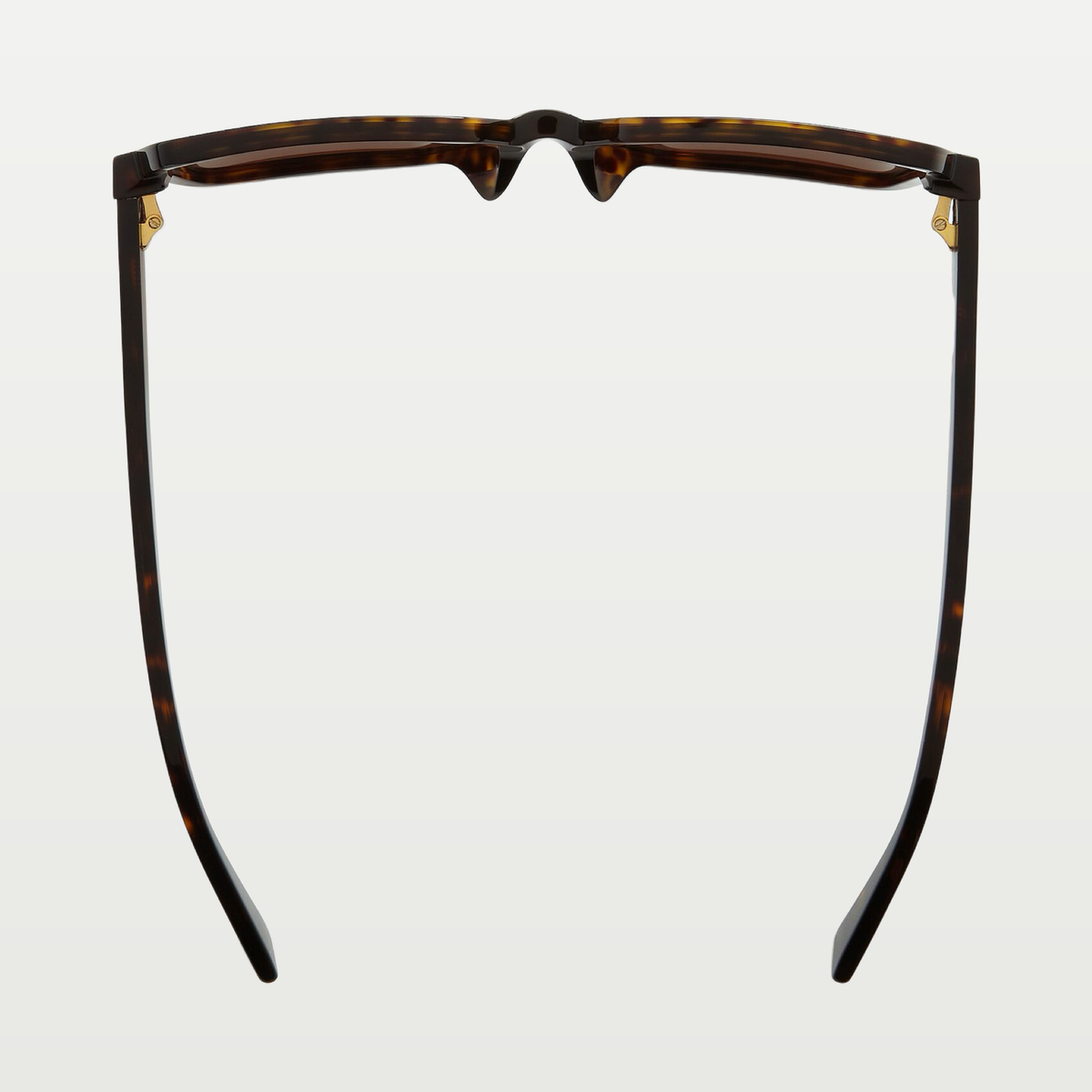 Bottega Veneta Soft Square Sunglasses in Havana/brown