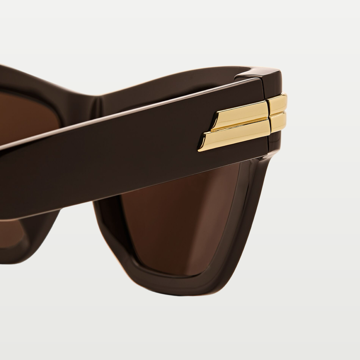 Bottega Veneta Mitre Cat Eye Sunglasses in Brown/brown