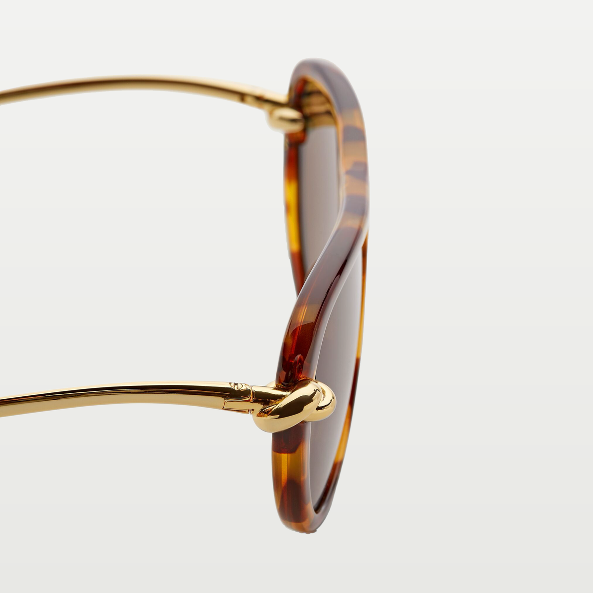 Bottega Veneta Knot Aviator Sunglasses in Havana/brown