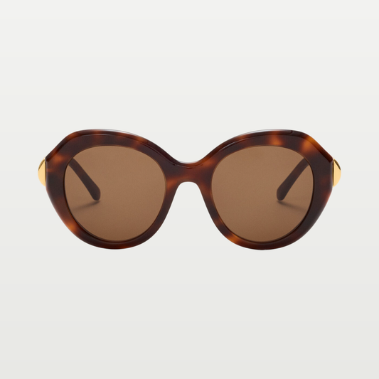 LOEWE Coil Butterfly sunglasses in Havana