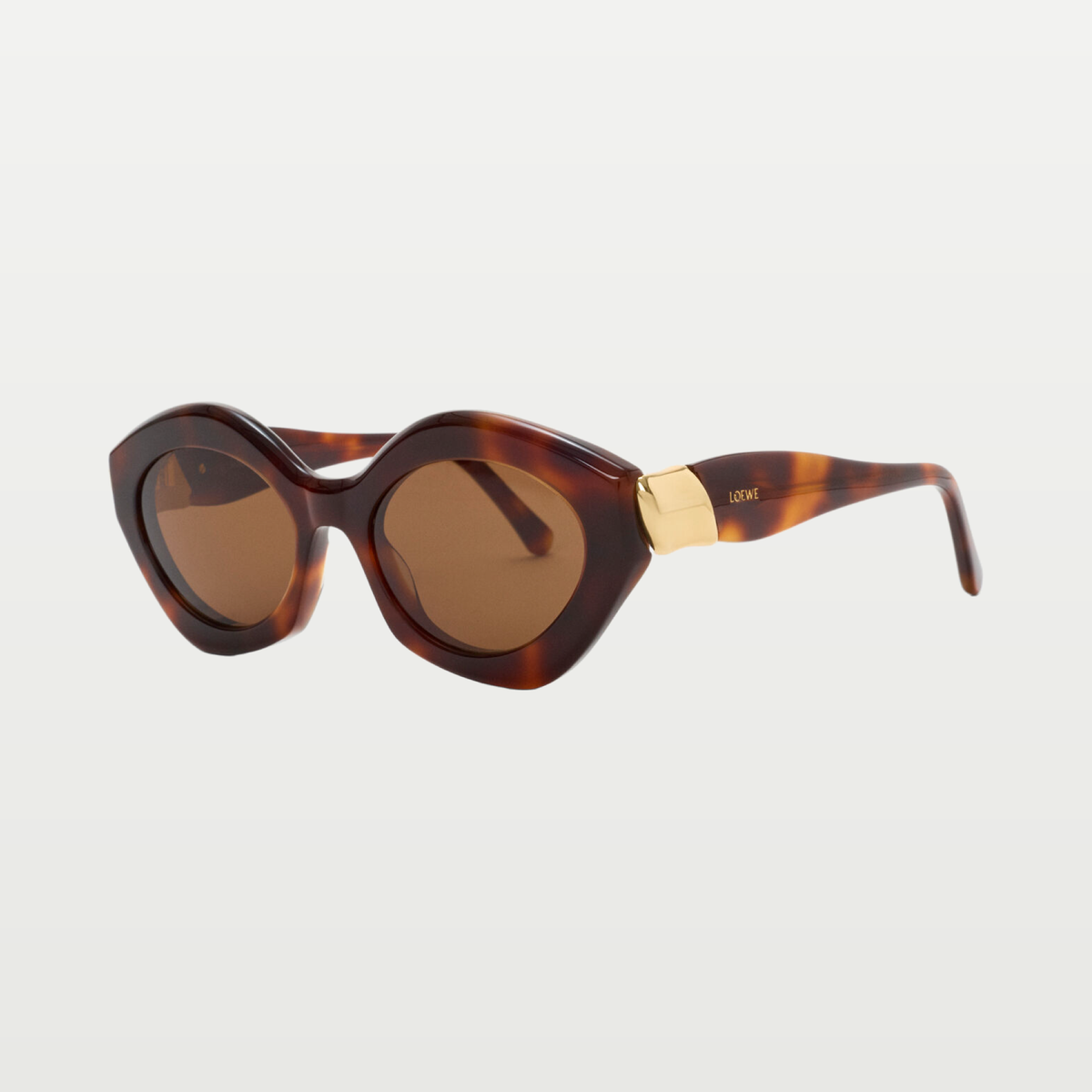 LOEWE Coil Cateye sunglasses in Havana