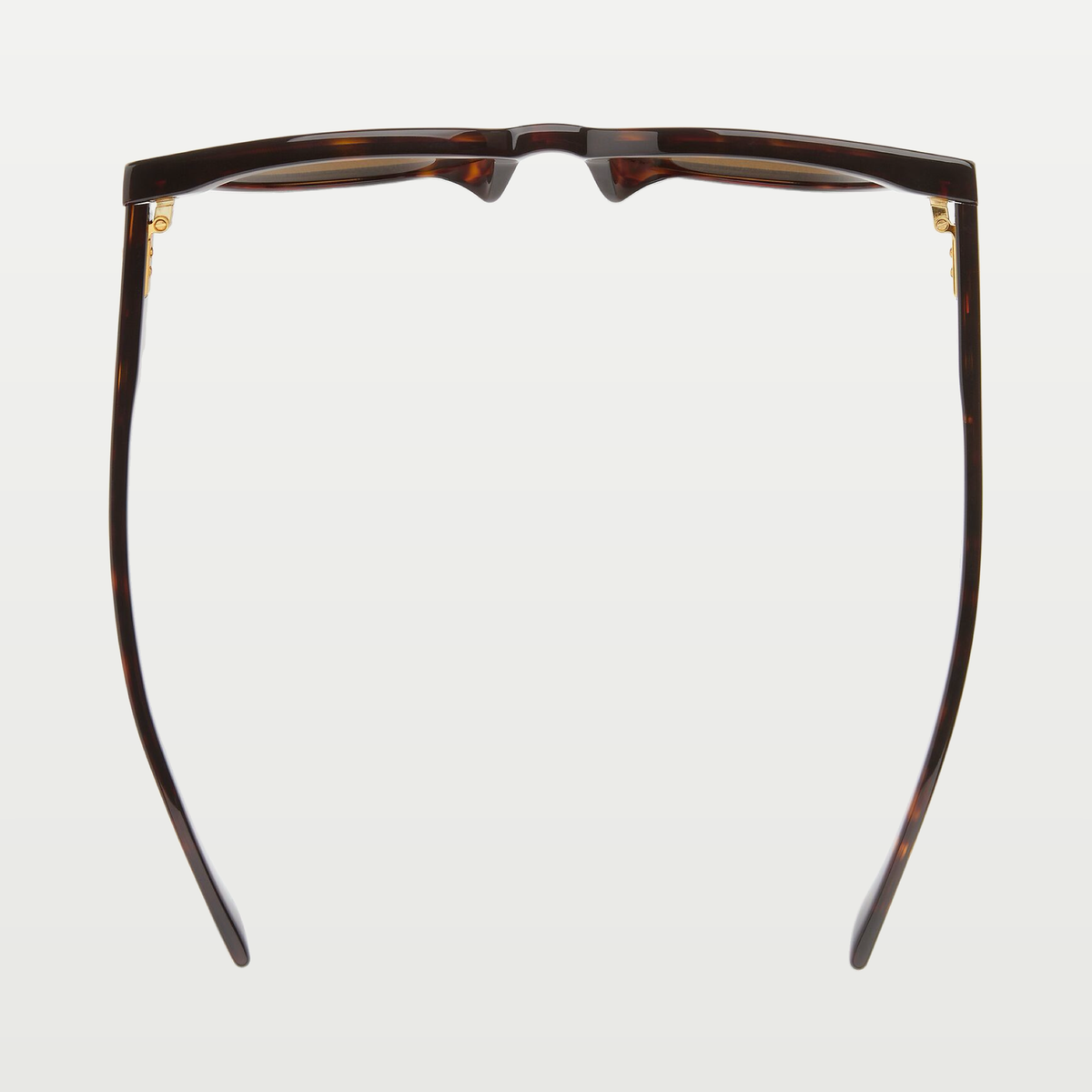 Bottega Veneta Women's Dizzy Round Sunglasses in Havana/brown