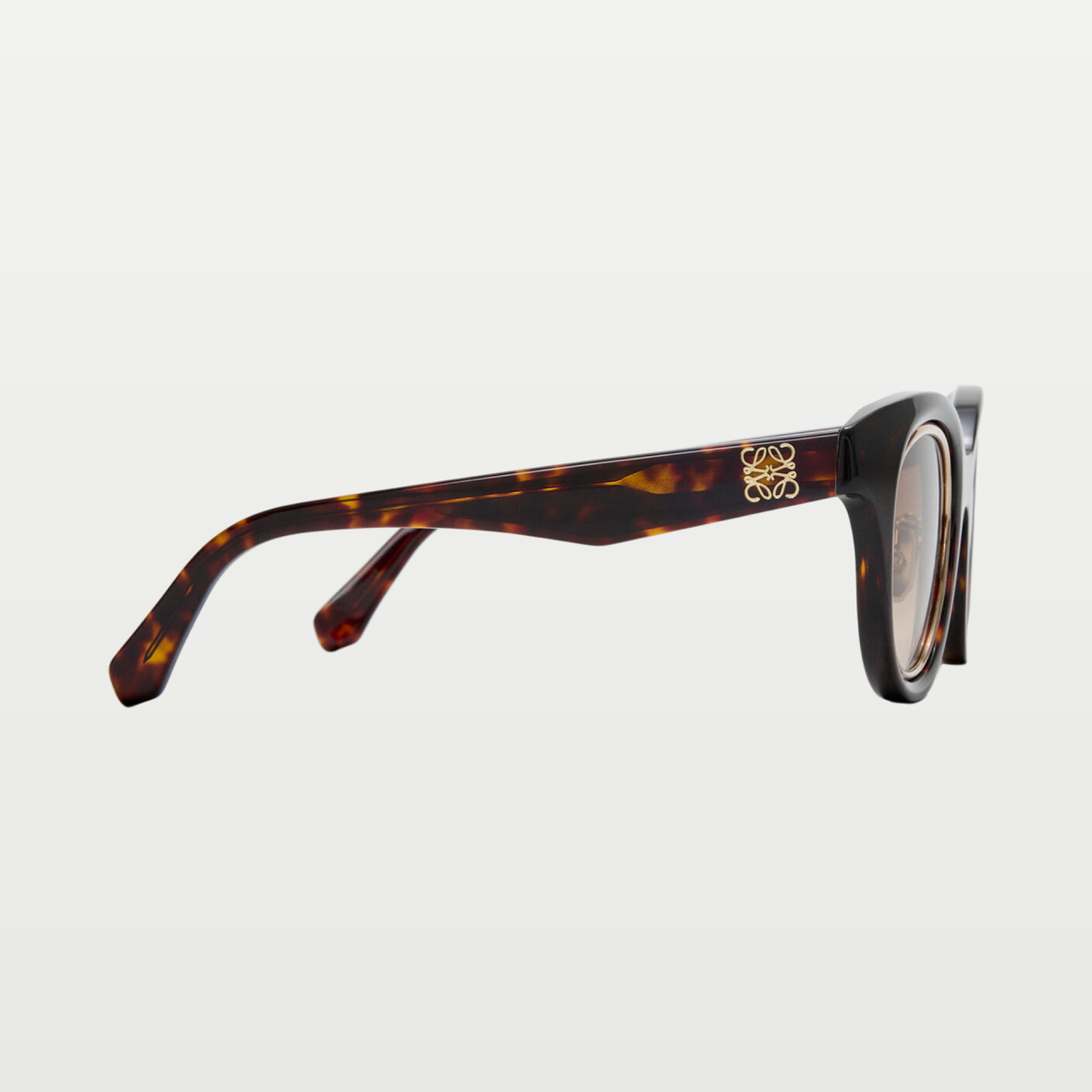 LOEWE Mini Anagram Butterfly sunglasses in Havana