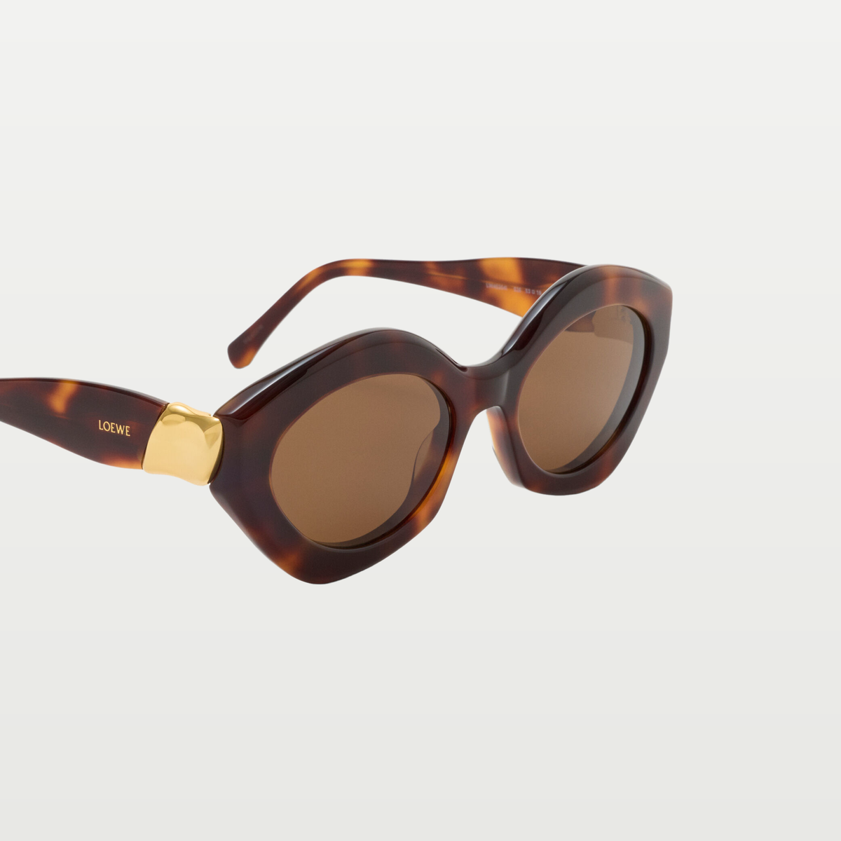 LOEWE Coil Cateye sunglasses in Havana
