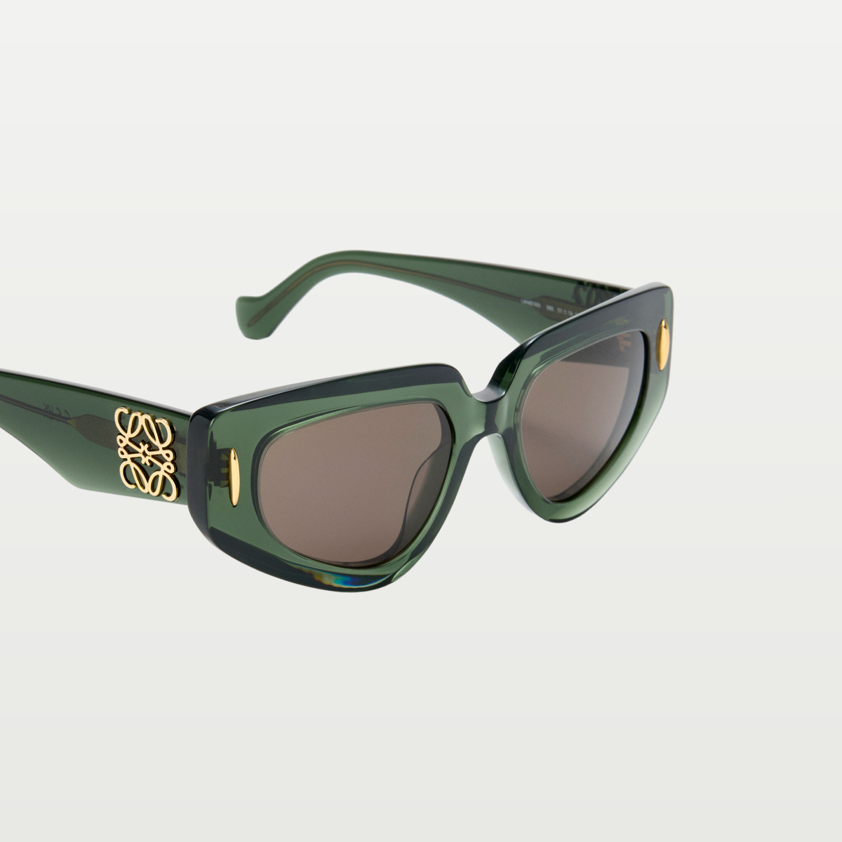 LOEWE Small Butterfly Screen sunglasses in Transparent Dark Green