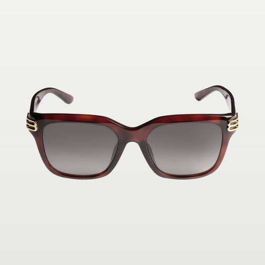 Balenciaga Women's Casino Square Af Sunglasses in Medium Brown Havana