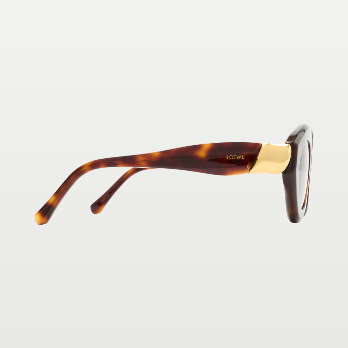 LOEWE Coil Cateye sunglasses in Havana