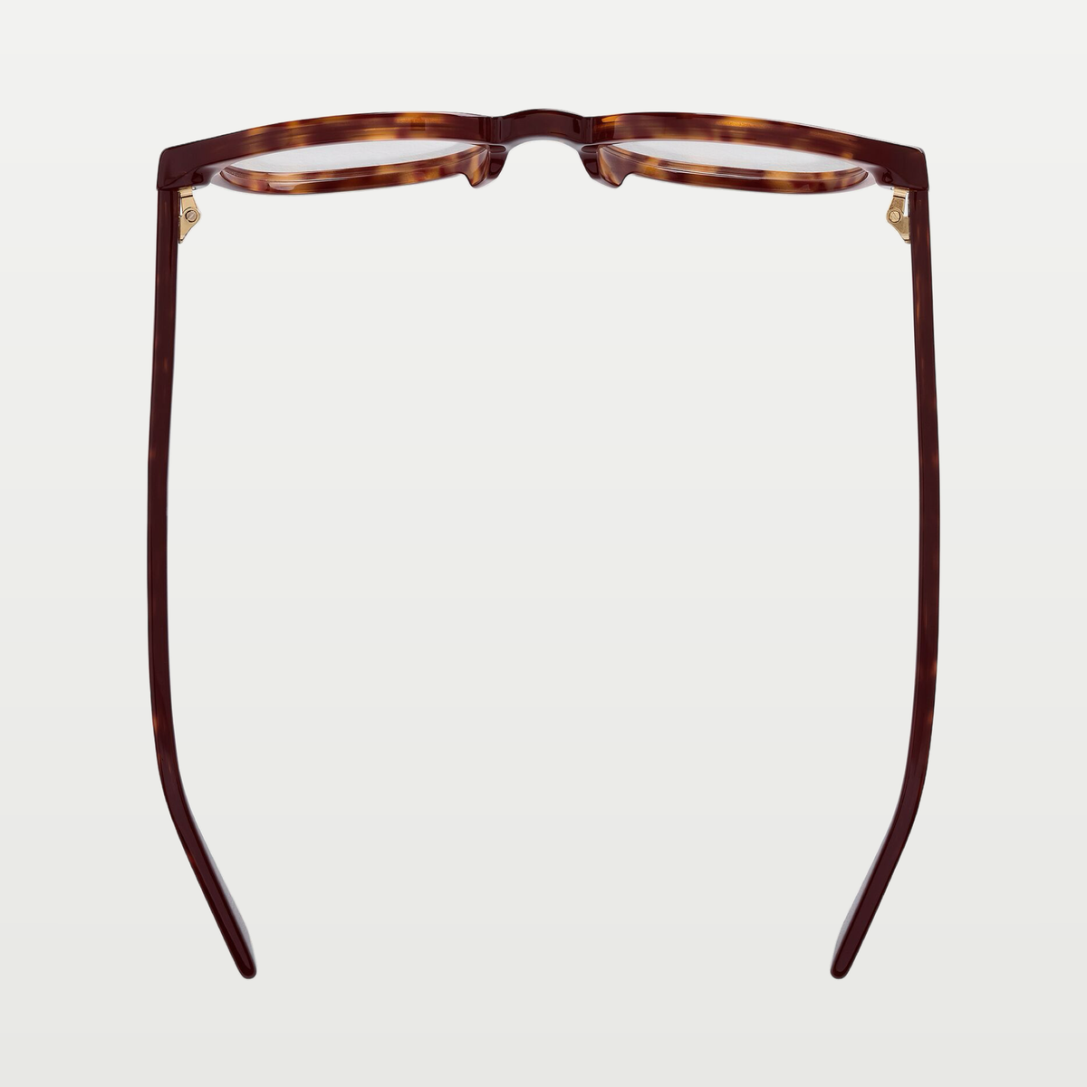 Bottega Veneta Classic Panthos Eyeglasses in Havana/transparent
