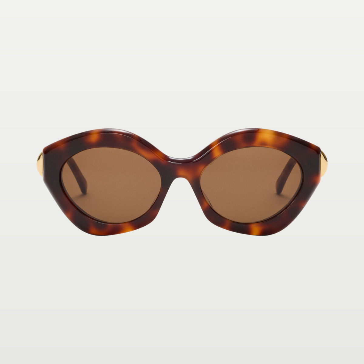 LOEWE Coil Cateye sunglasses in Havana